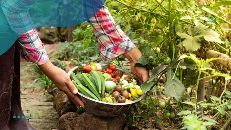 Demanda de alimentos orgânicos no Brasil