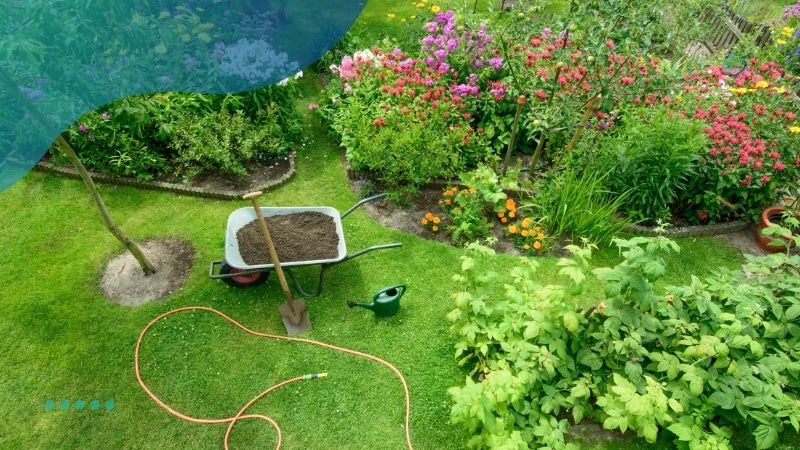 Dicas de cuidados com o jardim para iniciantes