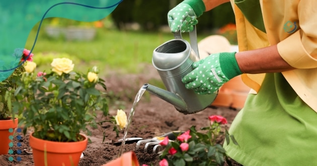 dicas de jardinagem para iniciantes